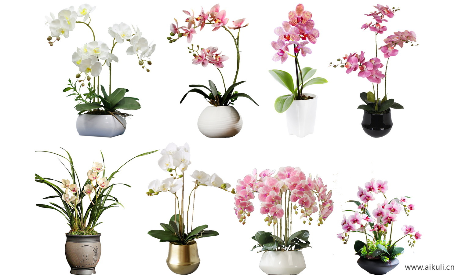 室内绿植花瓶摆件植物花卉PSD免扣PS素材