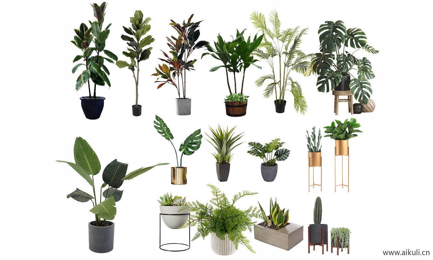 绿植摆件_植物_室内盆栽-盆栽PSD免抠