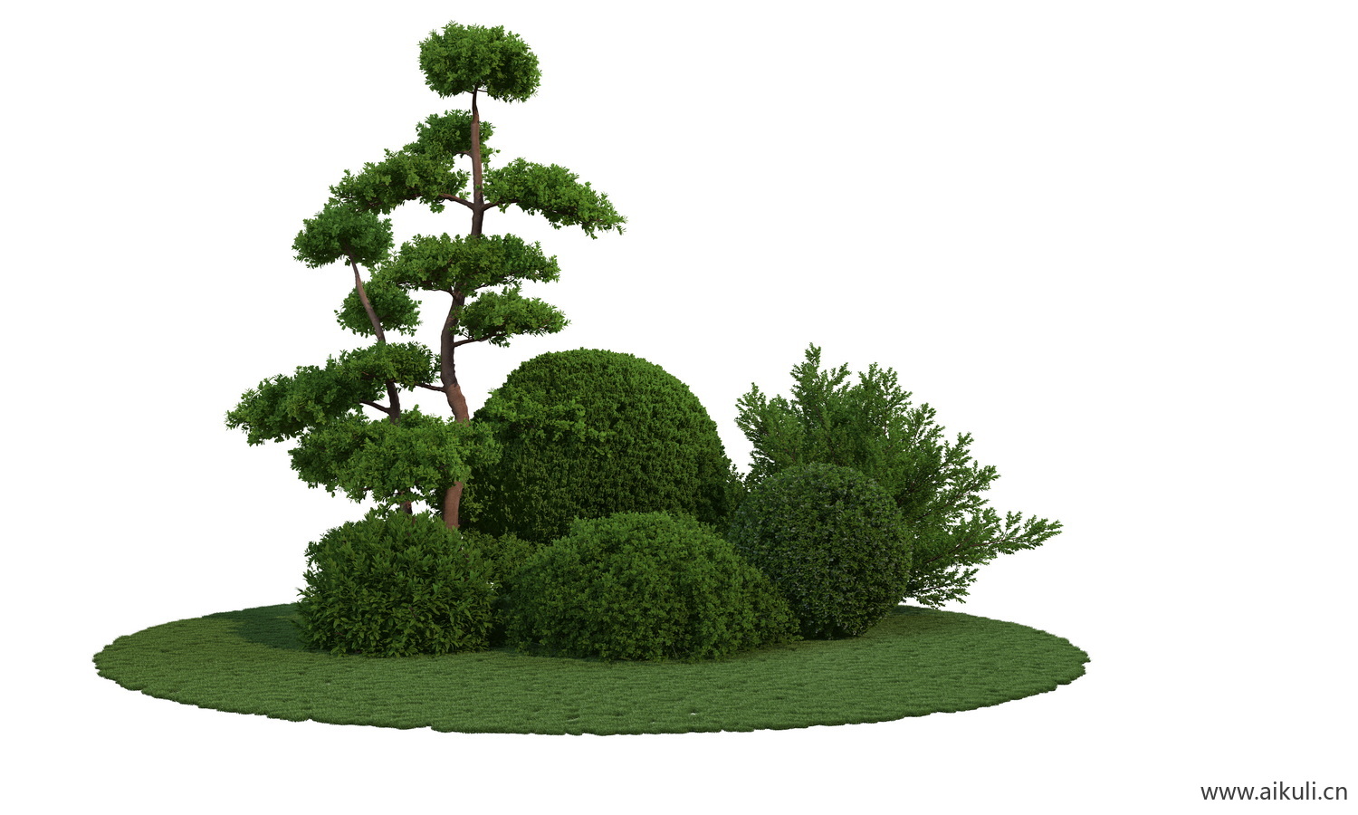 纯色景观造型树植物PSD