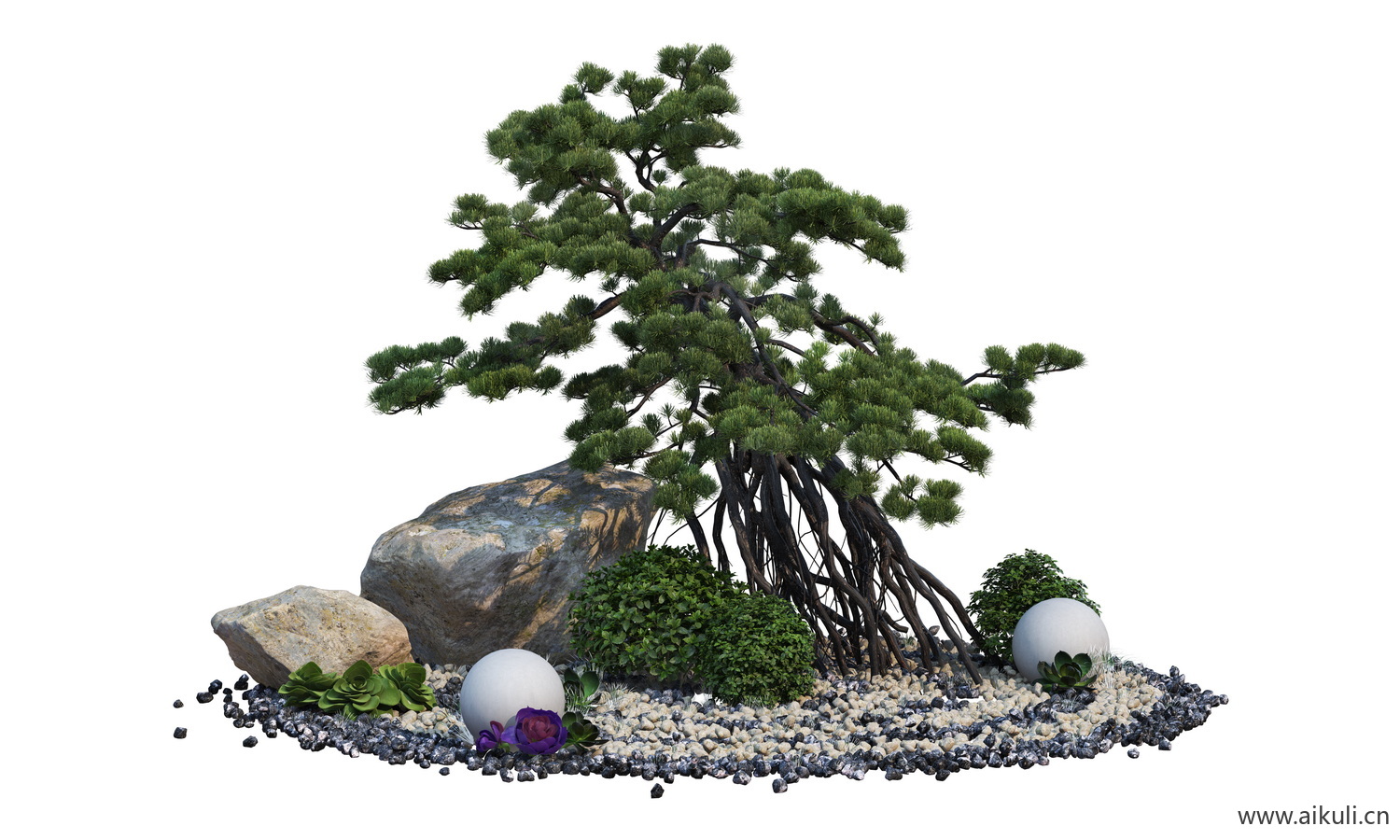 松树或柏树植物树PSD分层
