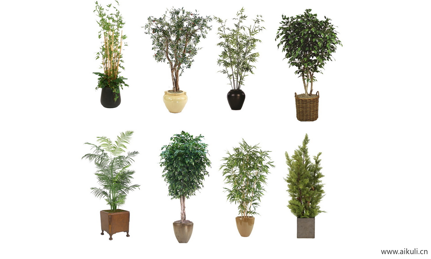盆栽绿植花盆植物免抠ps素材