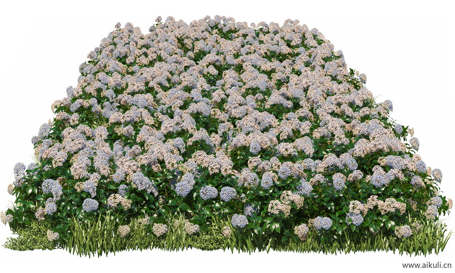 分段花坛花池魔纹花坛绿篱花境镜植物花卉png