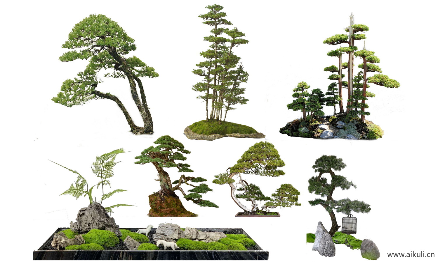 庭院造型植物摆件PSD免扣