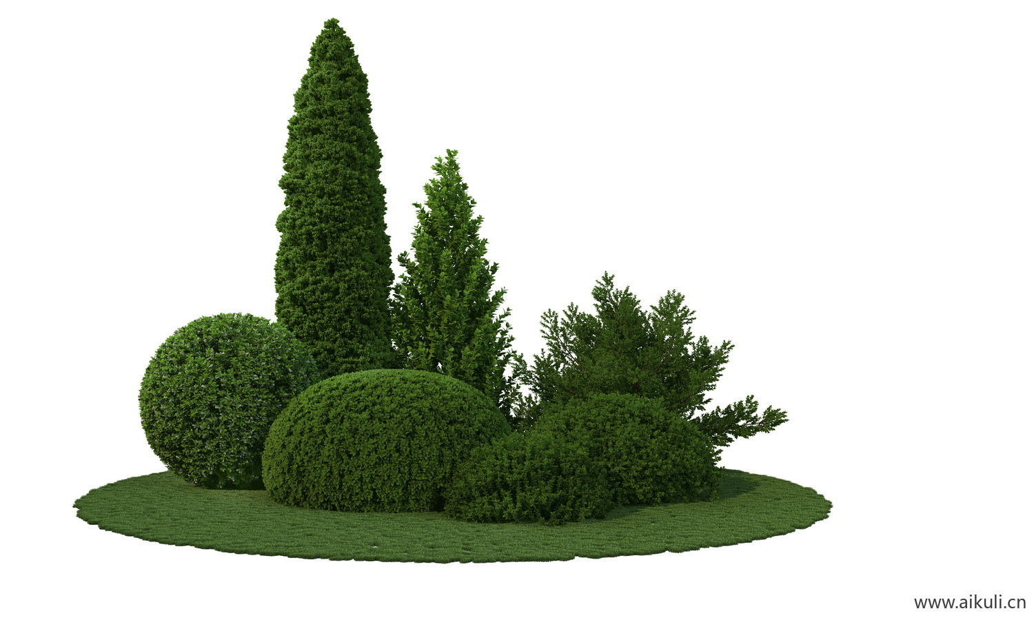 现代简约纯色景观造型树植物PS