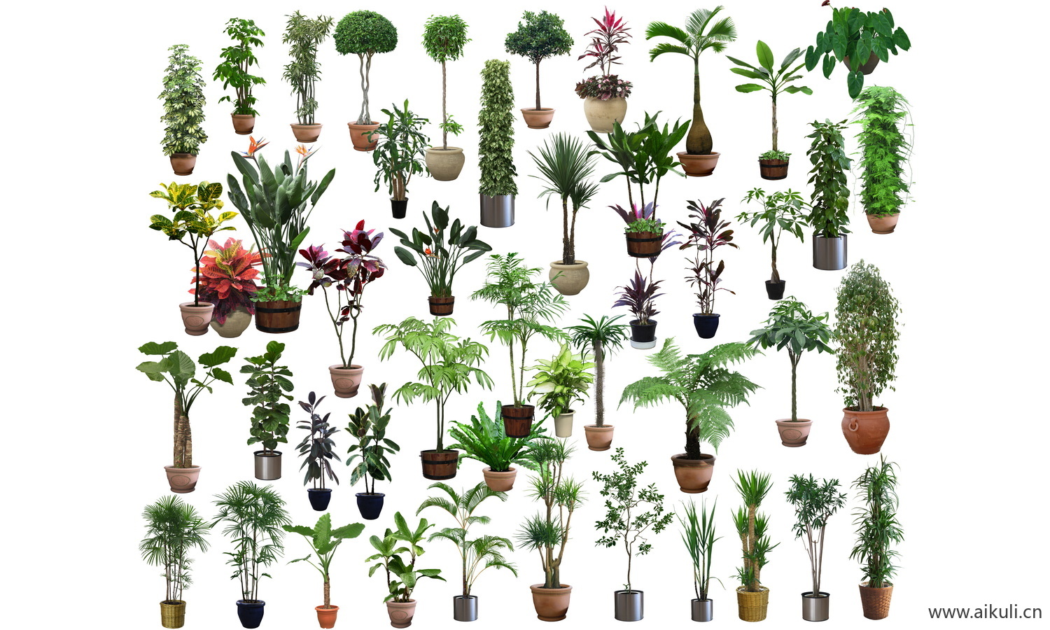 PSD免抠室内盆栽植物_