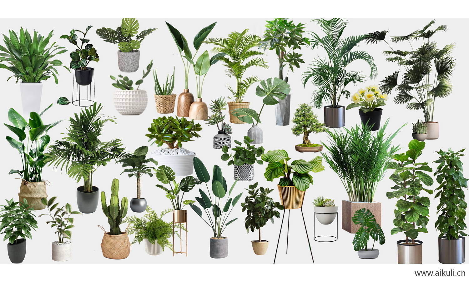 现代室内盆栽绿植摆件_植物组合-盆栽PSD免抠