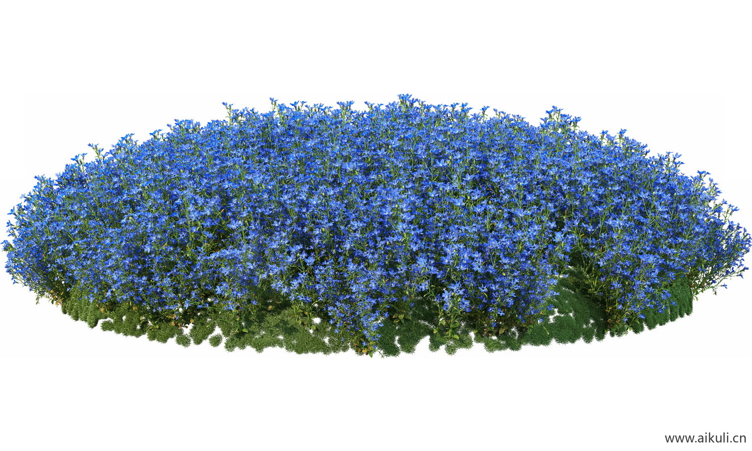 圆形花池魔纹花坛绿篱花境镜植物花卉png免抠_12