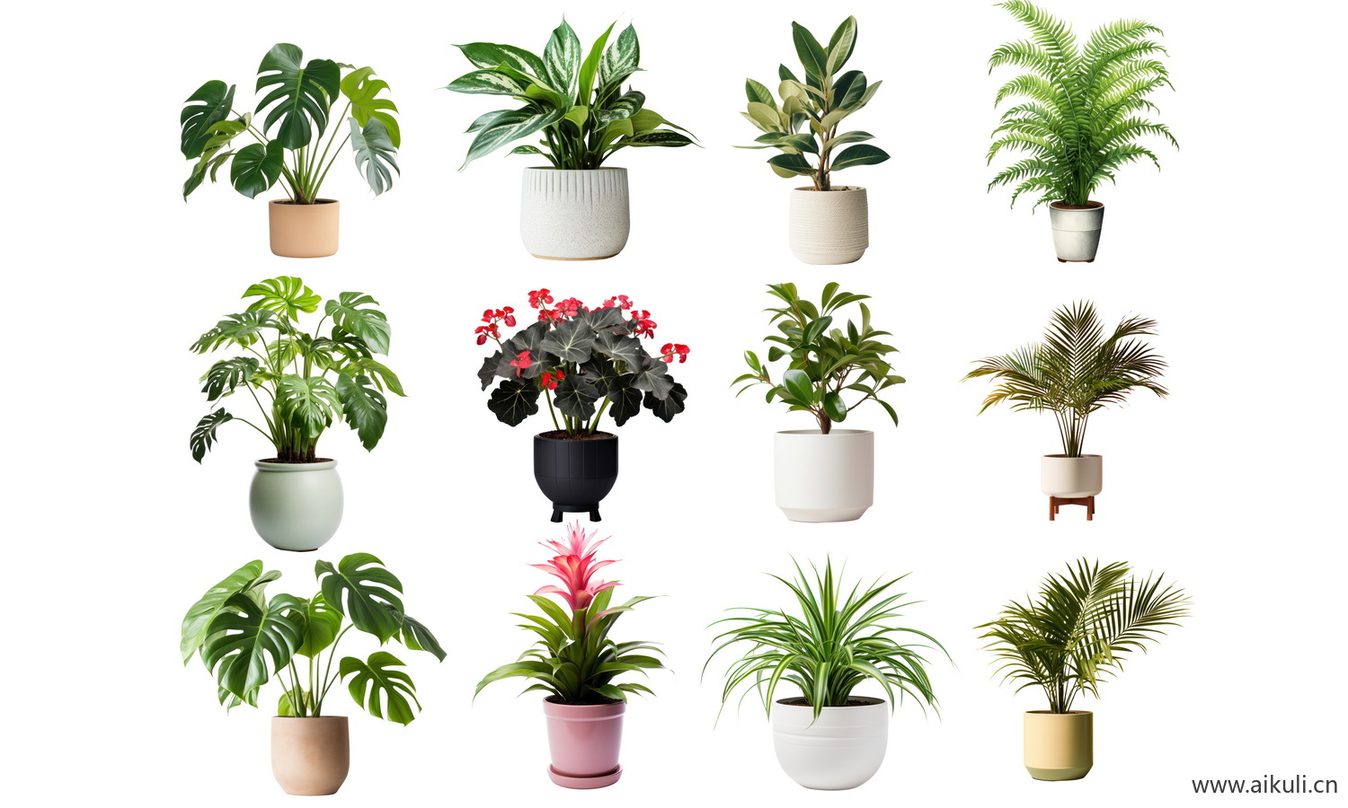 现代室内花盆绿植摆件_植物-盆栽PSD免抠