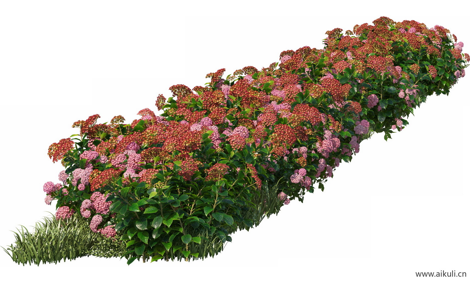 分段花坛花池魔纹花坛绿篱花境镜植物花卉png免抠_09