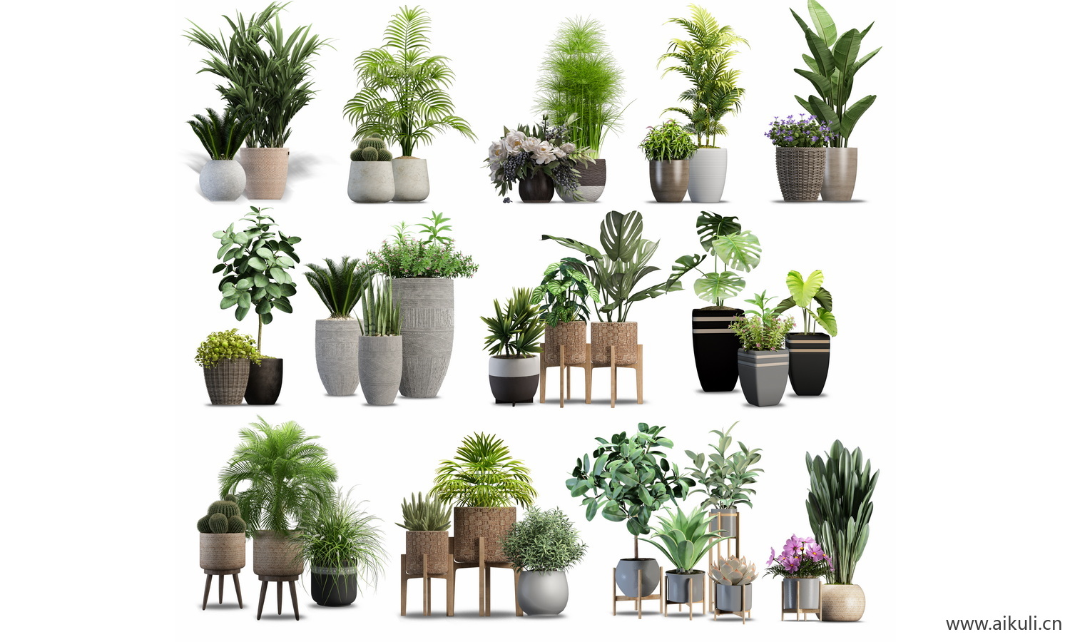 1室内盆栽植物花盆组合效果图
