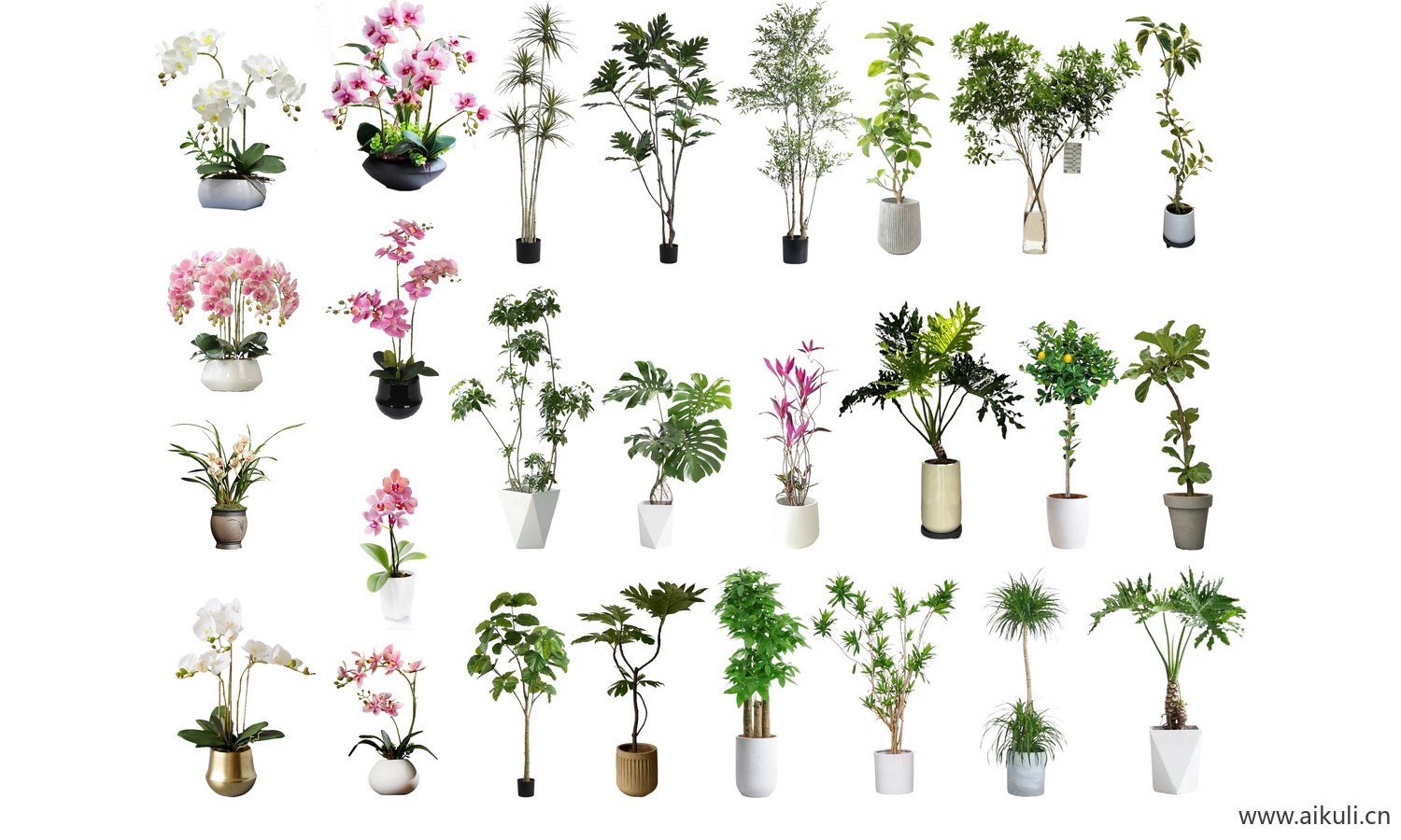 现代室内花盆植物_室内盆栽-盆栽PSD免抠