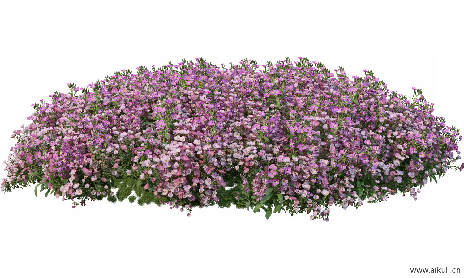圆形花池魔纹花坛绿篱花境镜植物花卉png免抠_06