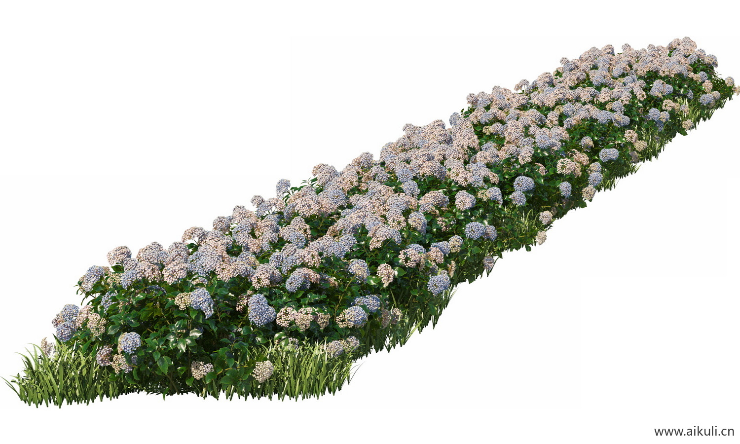 分段花坛花池魔纹花坛绿篱花境镜植物花卉png免抠