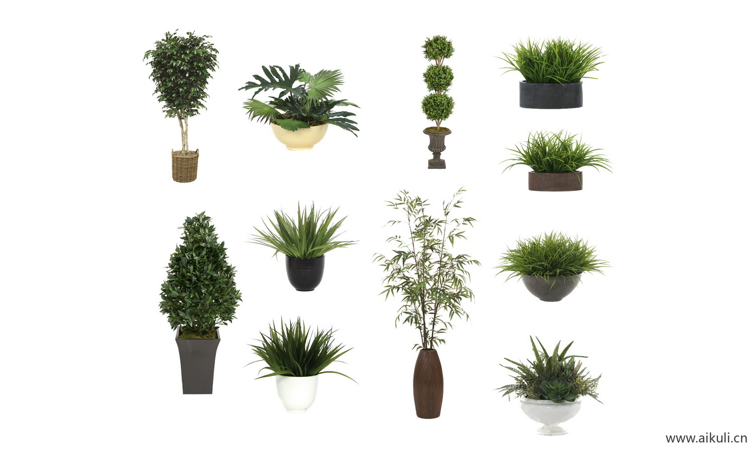 现代盆栽绿植花盆植物组合免抠ps