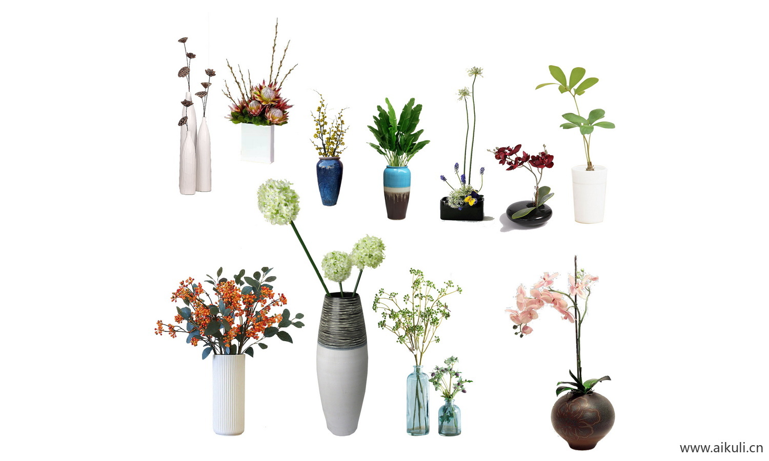 室内绿植花瓶植物花卉PS素材