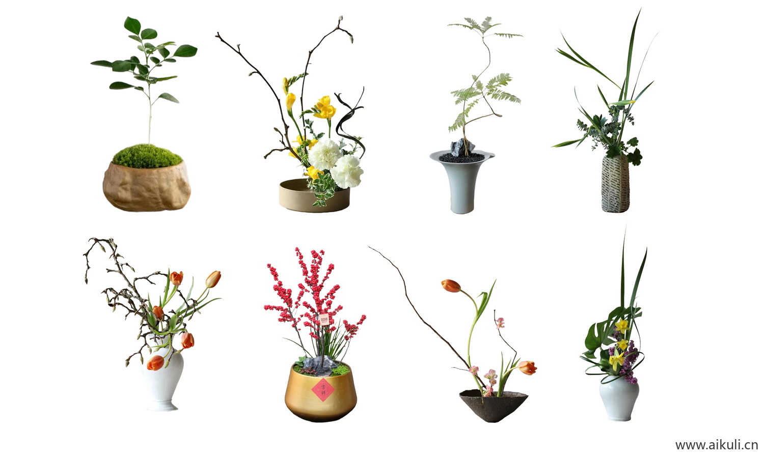 室内绿植花瓶-摆件植物花卉PSD免扣PS素材