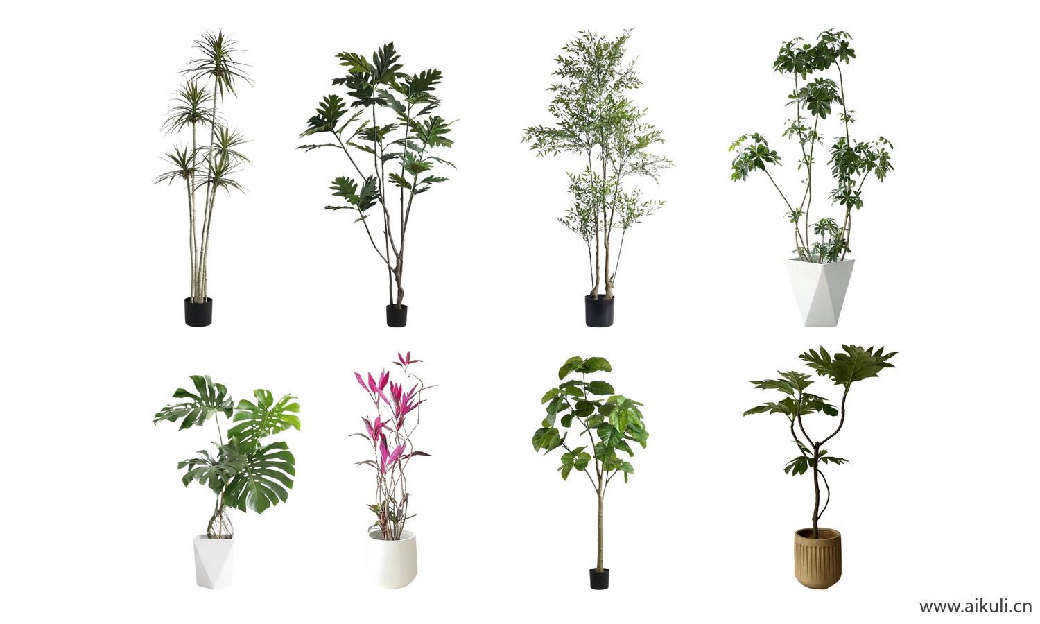 绿植摆件_植物PSD免抠室内盆栽_盆栽