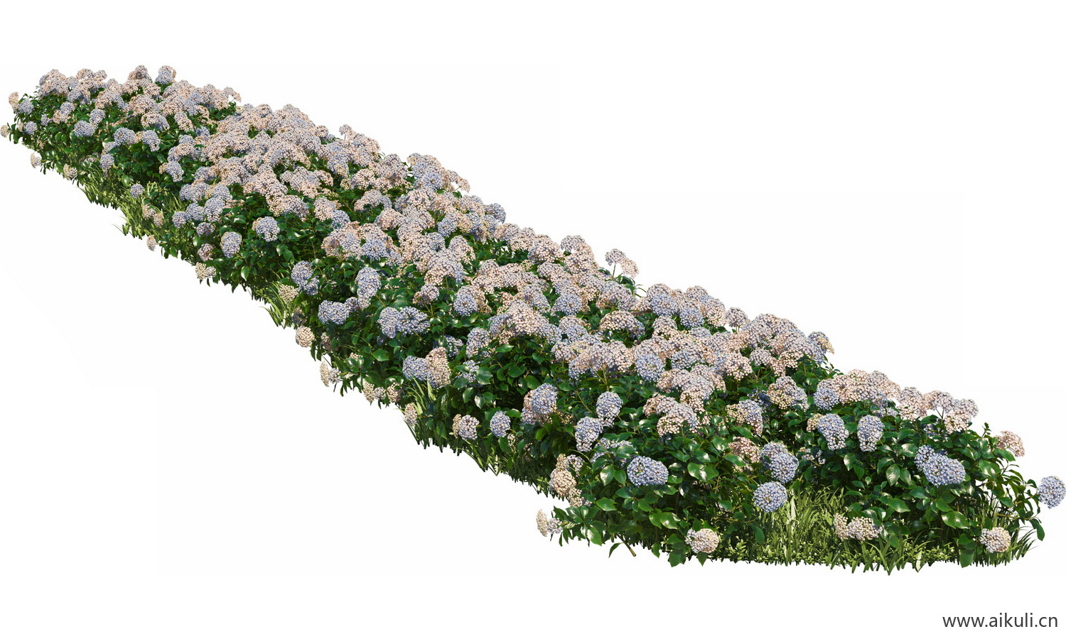 分段花坛花池魔纹花坛绿篱花境镜植物花卉png-免抠