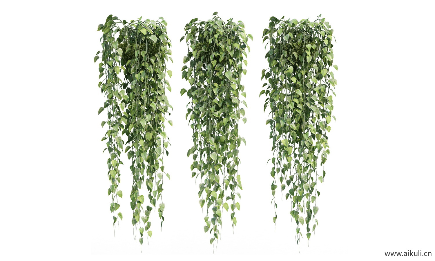 垂吊绿植免扣