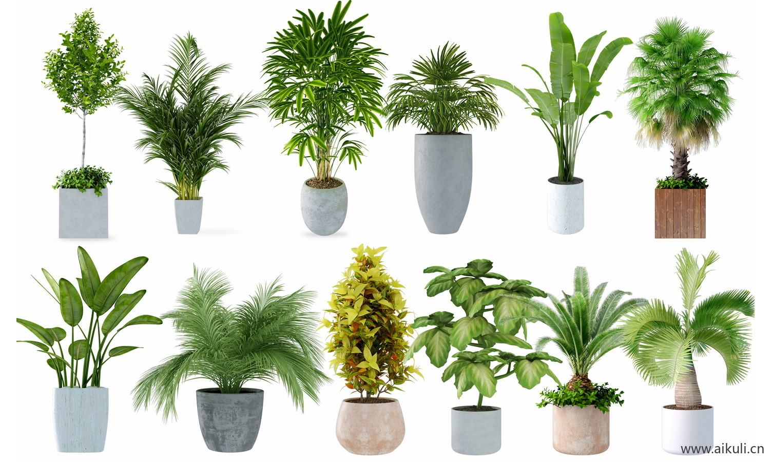 PSD免抠盆栽植物绿植效果图