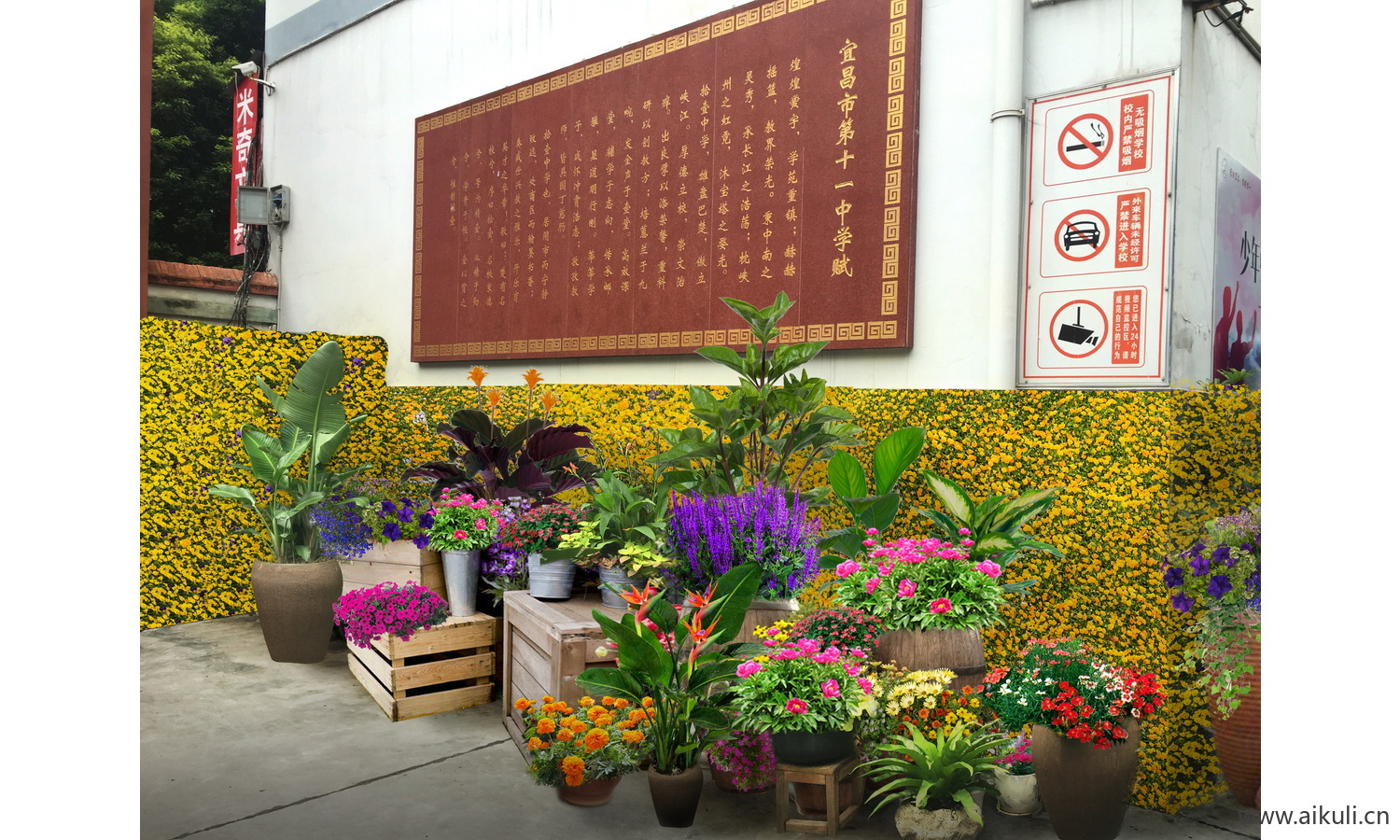 城市景观提质花镜花境园林改造psd素材