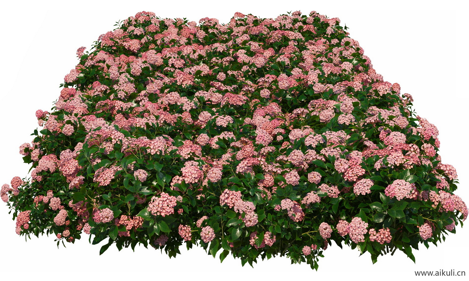分段花坛-花池魔纹花坛绿篱花境镜植物花卉png免抠_