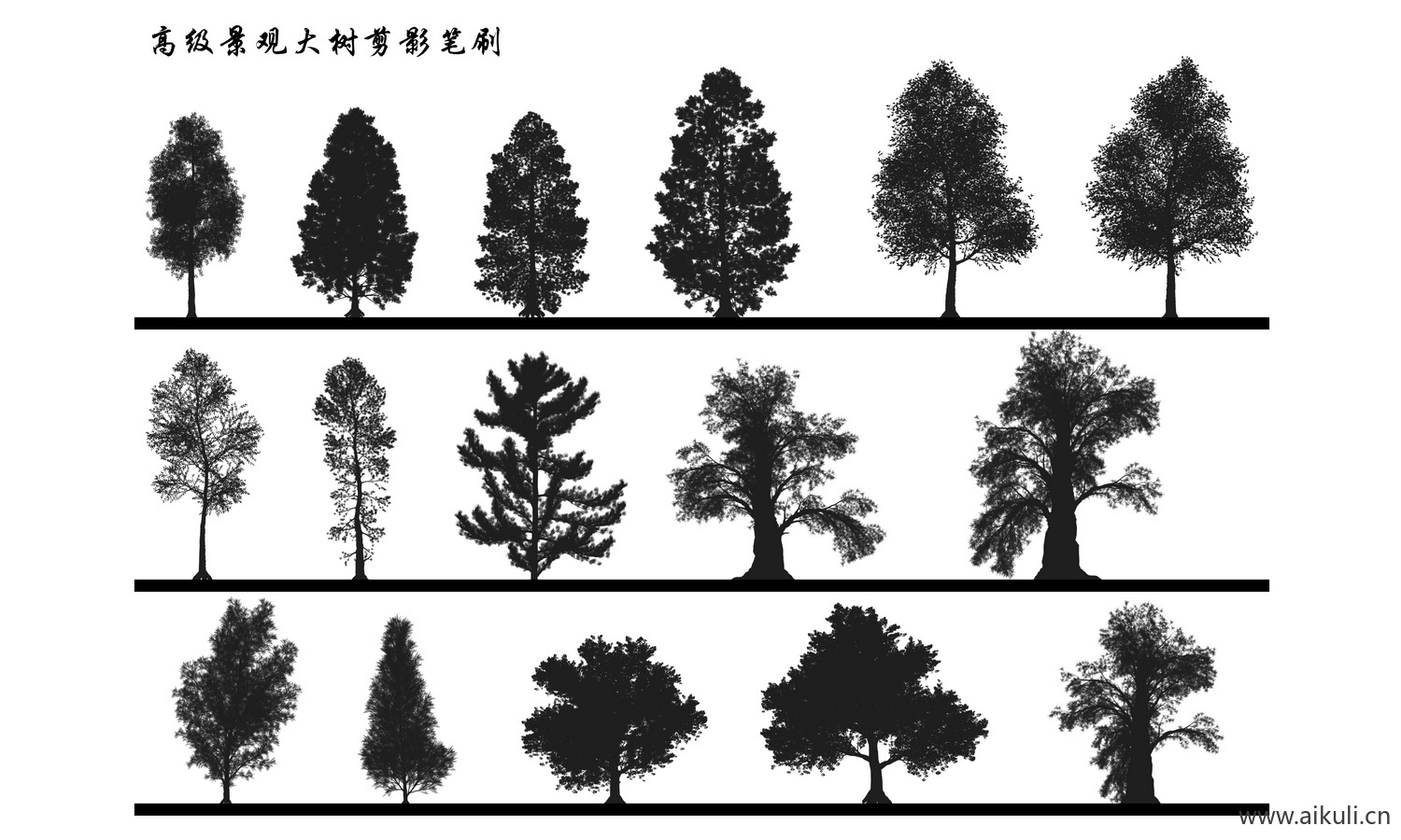 小清新植物剪影灌木乔木景观植物立面树PS笔刷