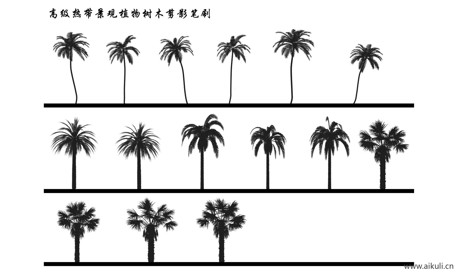 灌木乔木景观植物立面树PS笔刷