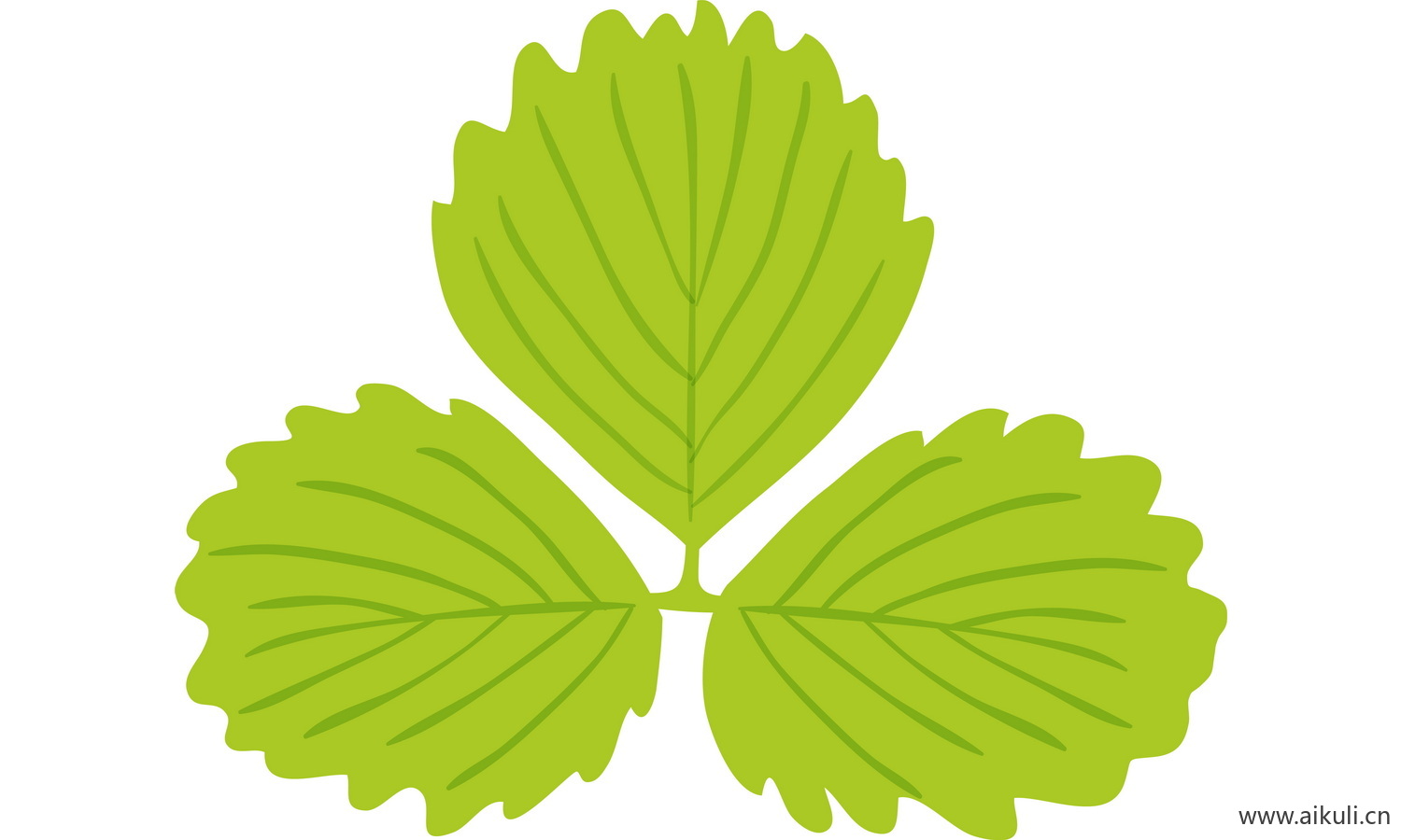 植物树叶子卡通线稿图形图案E-png免抠图片