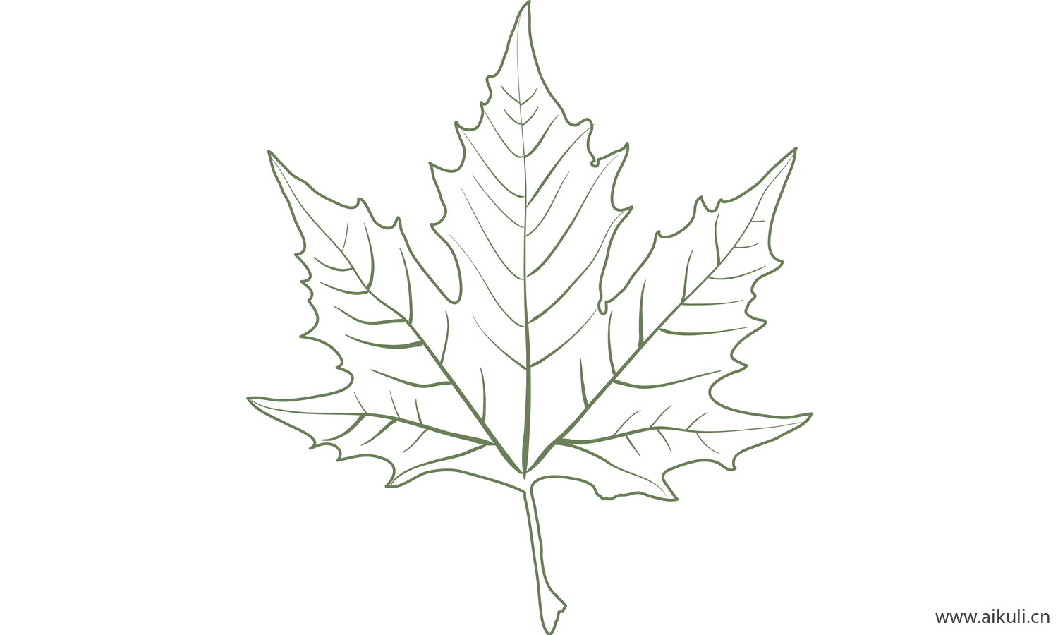 植物树叶子卡通线稿图形图案X-png免抠图片