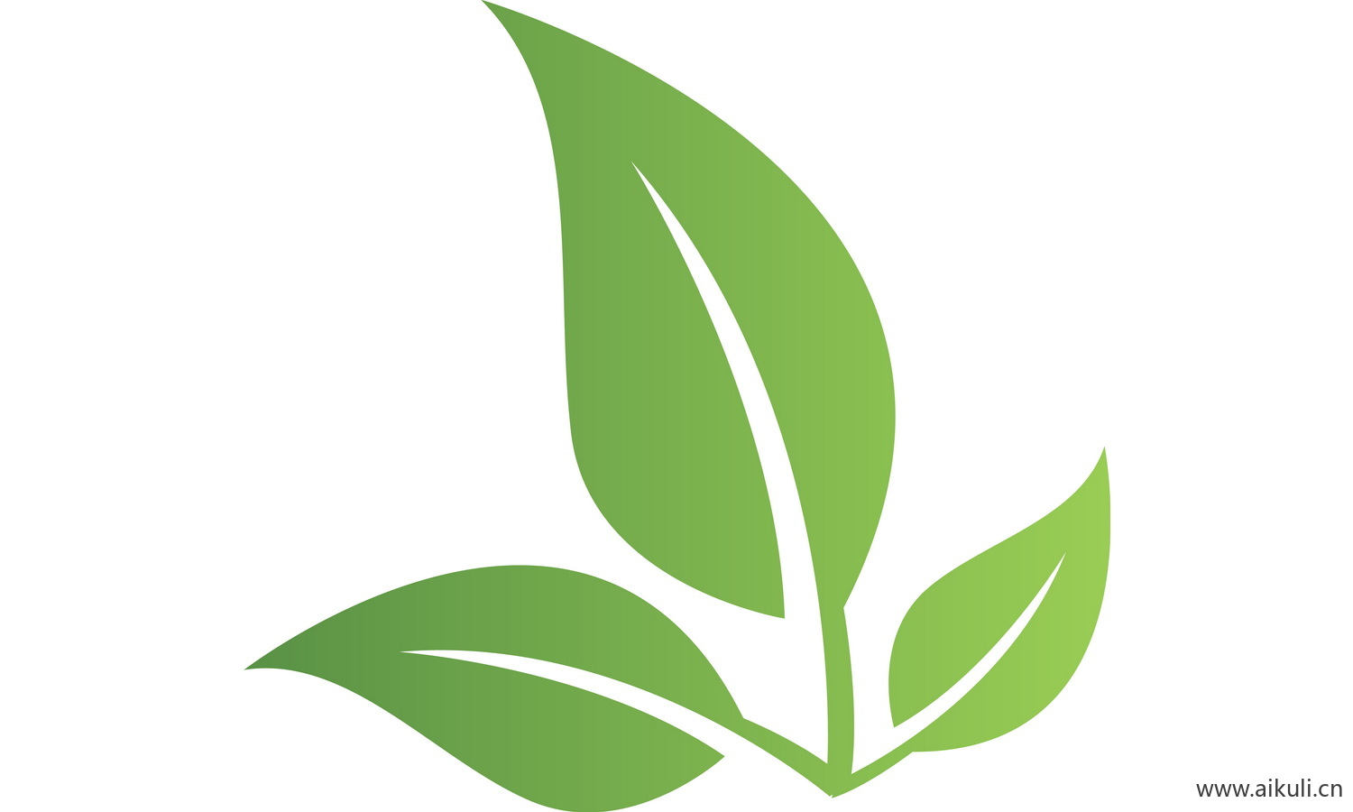 植物树叶子卡通线稿图形图案G-png免抠图片
