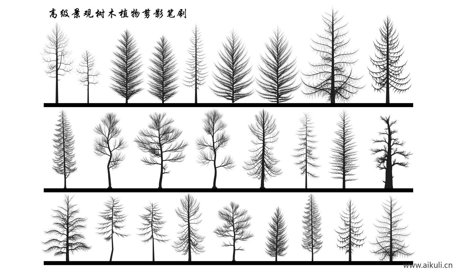植物剪影PSD分层灌木乔木景观植物立面树PS笔刷