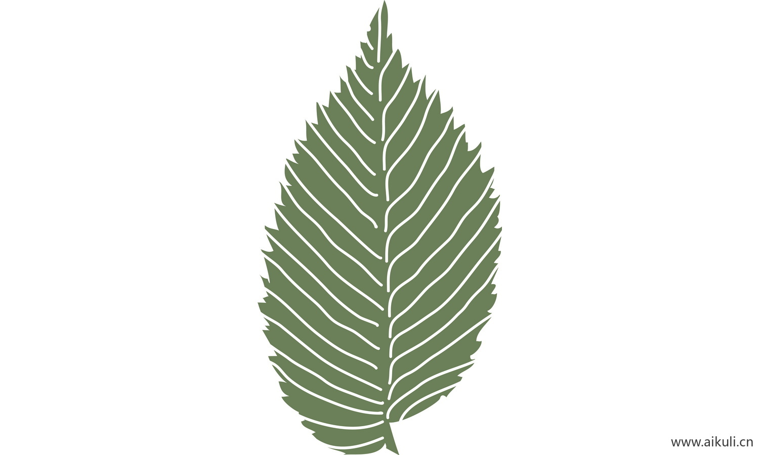 植物树叶子卡通线稿图形图案L-png免抠图片