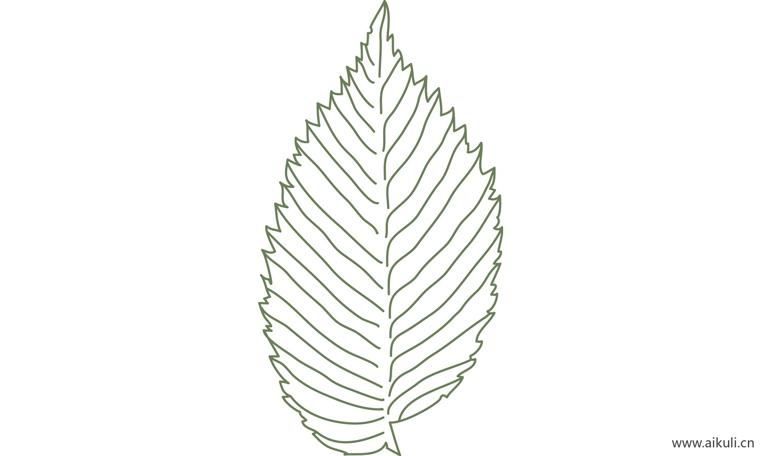 植物树叶子卡通线稿图形图案K-png免抠图片