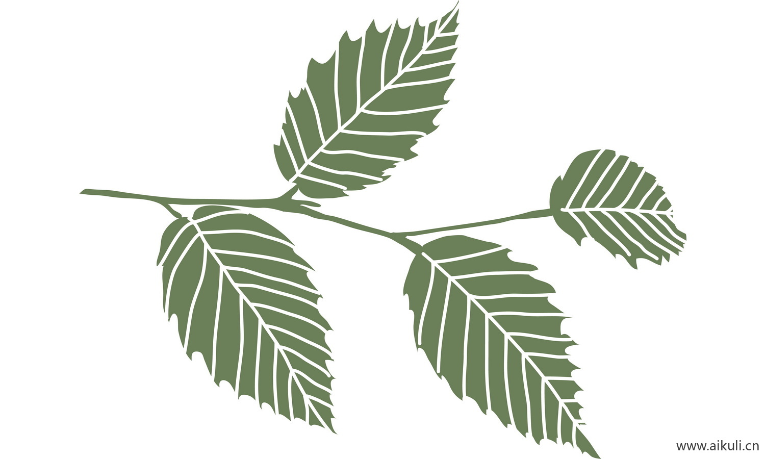植物树叶子卡通线稿图形图案Q-png免抠图片