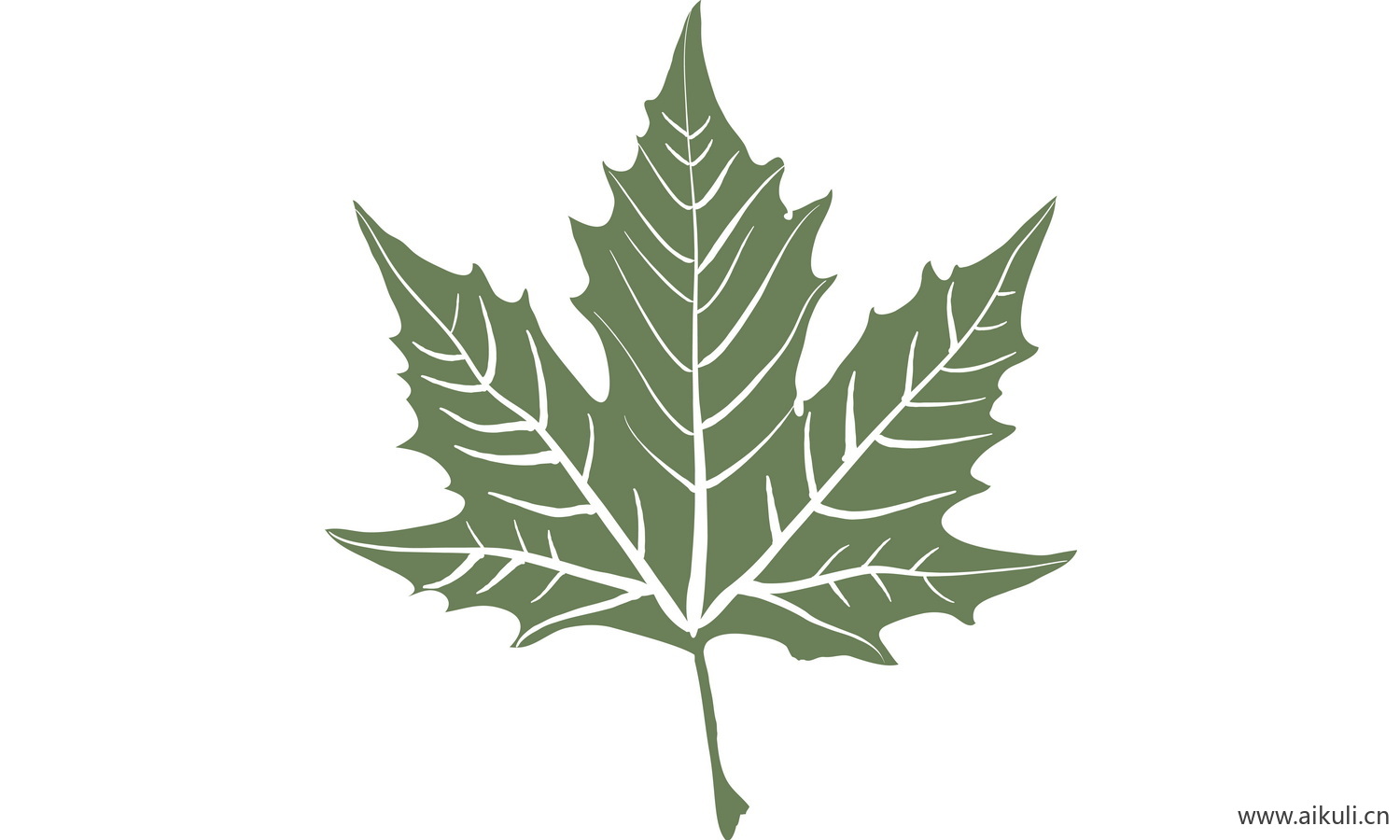 植物树叶子卡通线稿图形图案Y-png免抠图片
