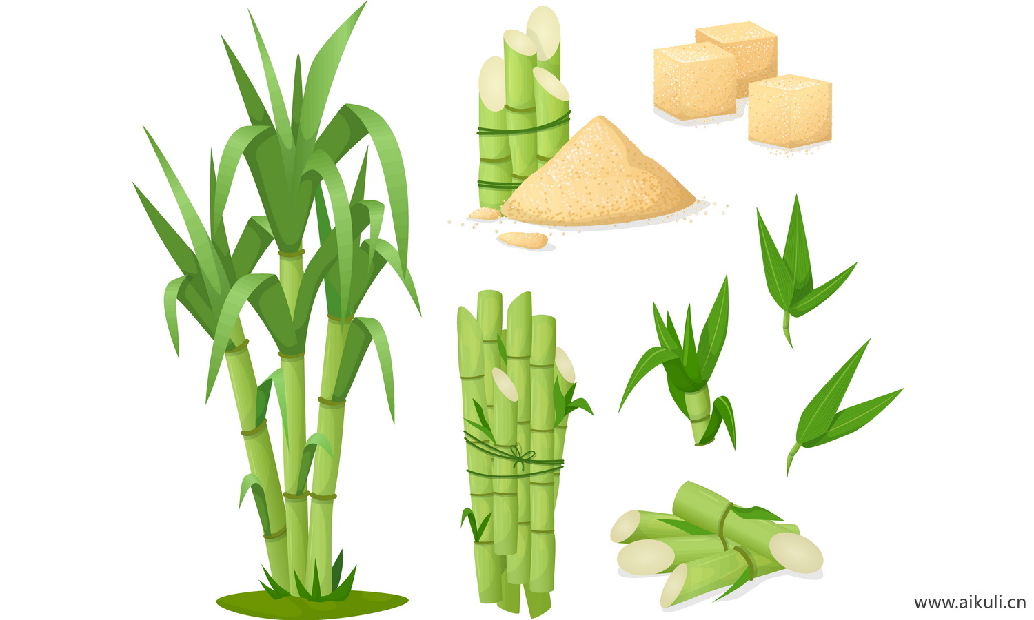 甘蔗榨汁饮料蔗糖方糖甘蔗叶子手绘卡通插画EPS矢量