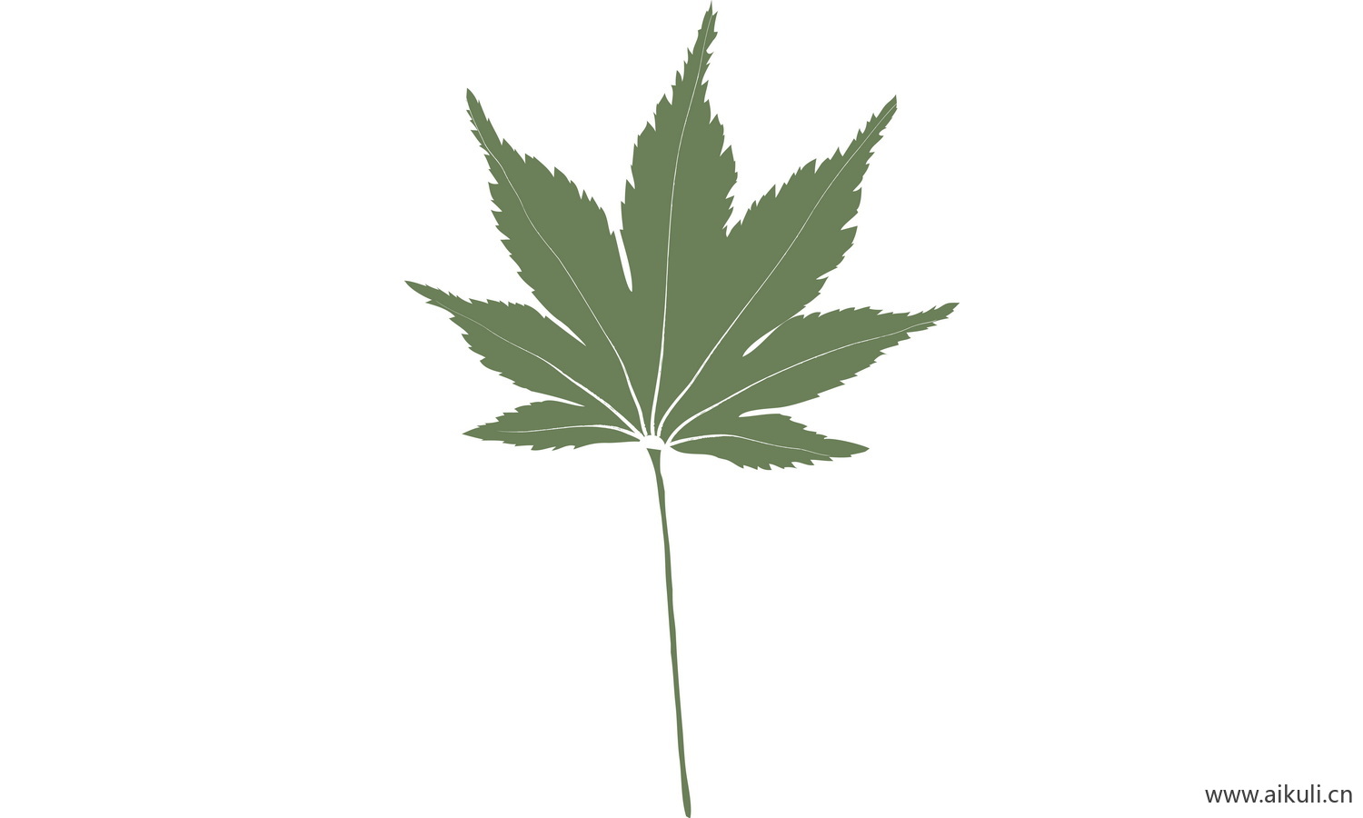 植物树叶子卡通线稿图形图案W-png免抠图片