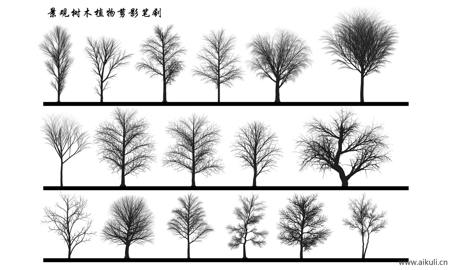 植物剪影PSD分层灌木乔木景观植物立面树笔刷