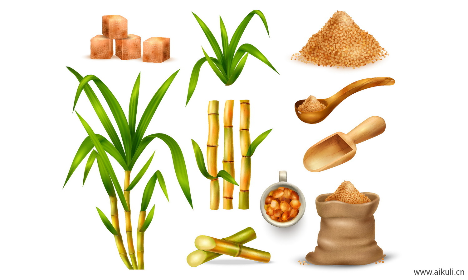 甘蔗蔗糖方糖甘蔗叶子手绘卡通插画EPS矢量