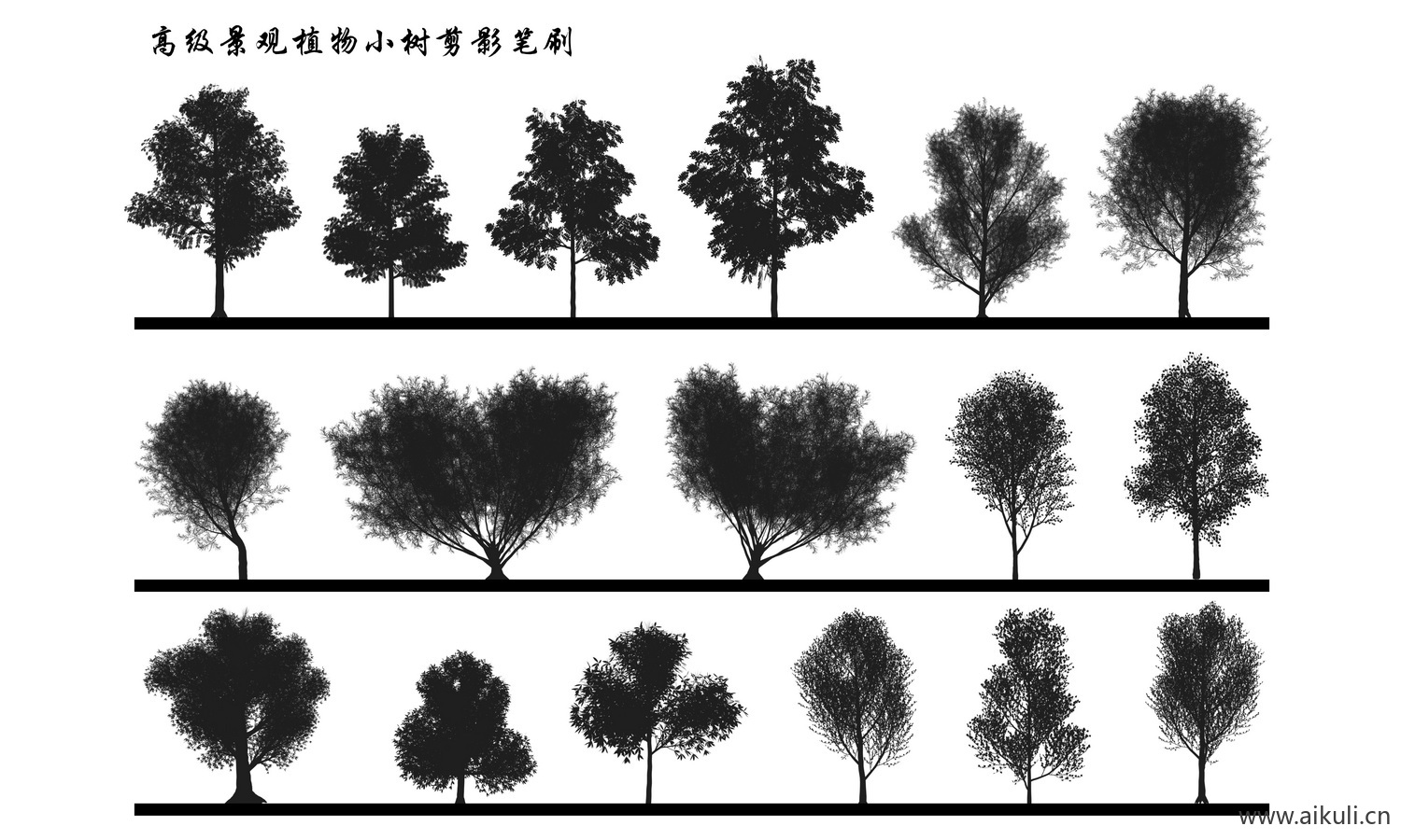 植物剪影 灌木乔木景观植物立面树PS笔刷