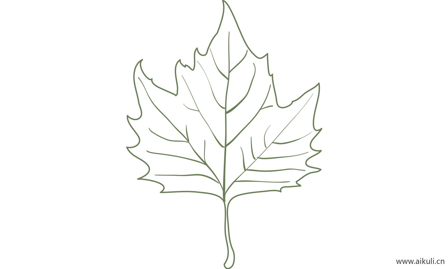植物树叶子卡通线稿图形图案O-png免抠图片