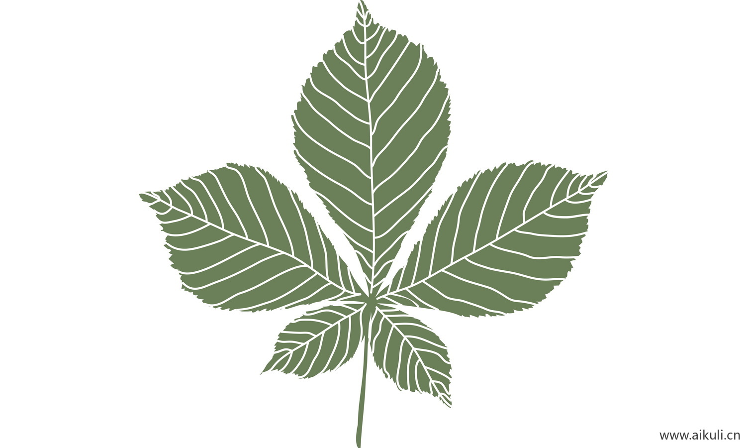 植物树叶子卡通线稿图形图案S-png免抠图片