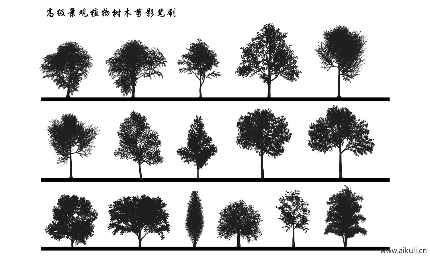 灌木乔木景观植物立面树PS笔刷植物剪影
