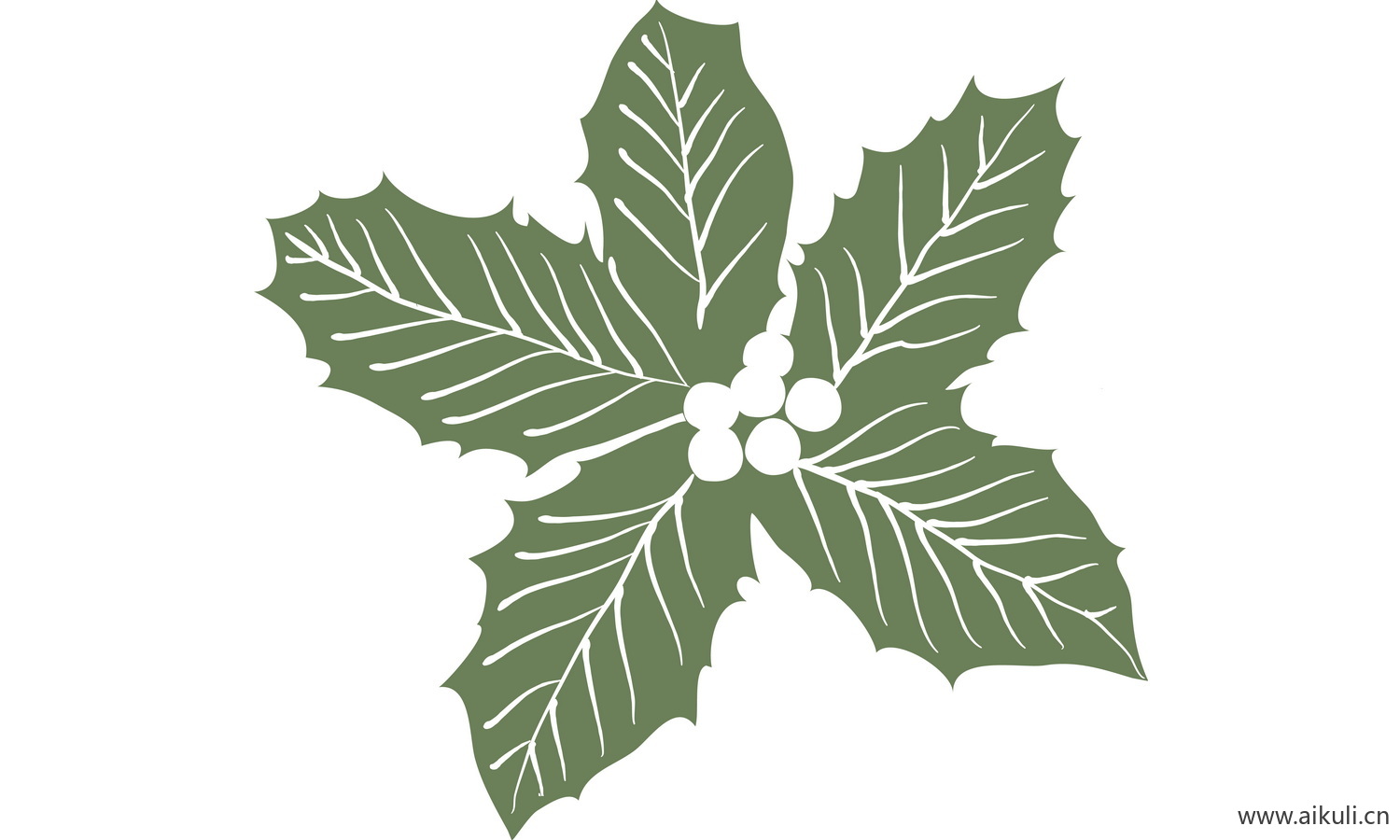 植物树叶子卡通线稿图形图案N-png免抠图片