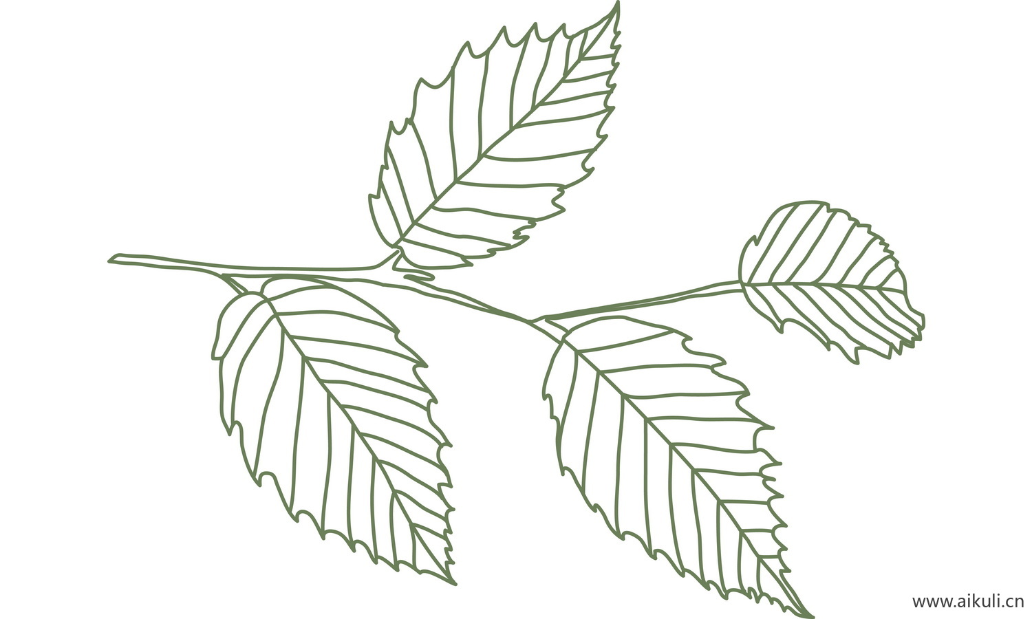 植物树叶子卡通线稿图形图案P-png免抠图片