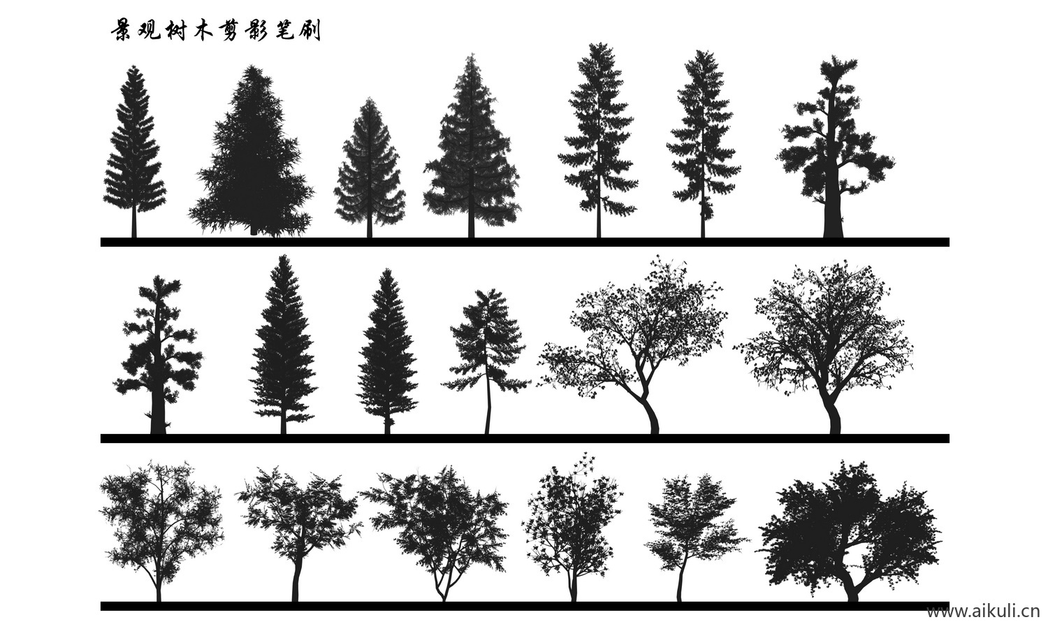 植物剪影小清新灌木乔木景观植物立面树PS笔刷