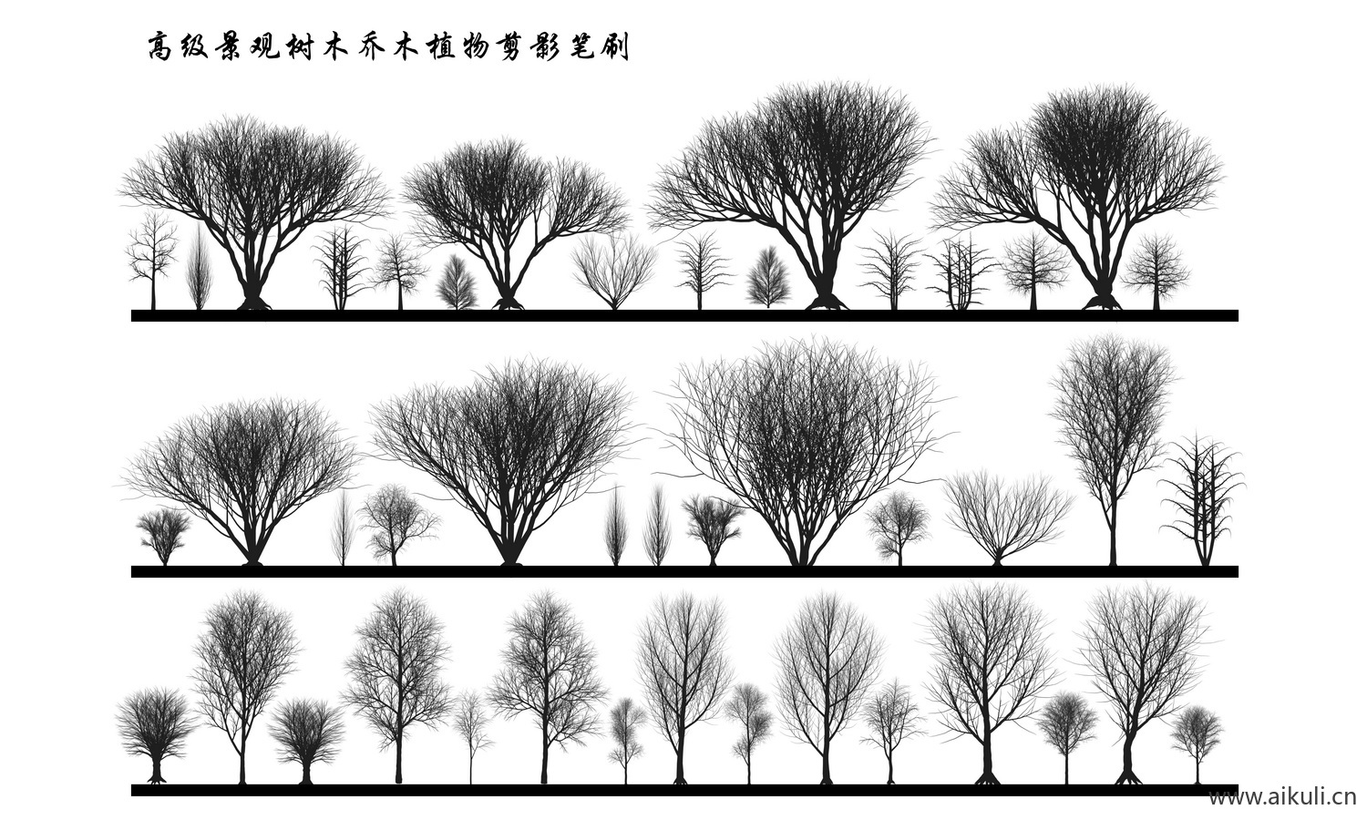 小清新植物剪影PSD分层 灌木乔木景观植物立面树PS笔刷