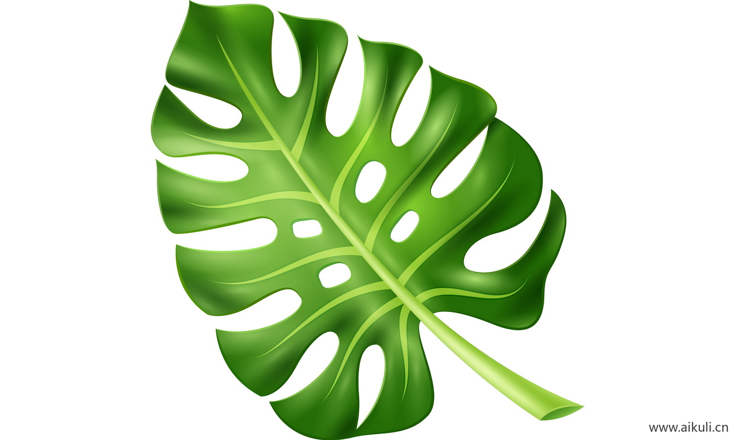 植物树叶子卡通线稿图形图案I-png免抠图片