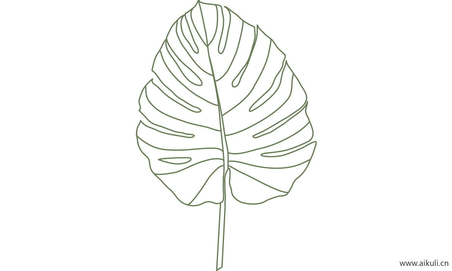 植物树叶子卡通线稿图形图案Z-png免抠图片